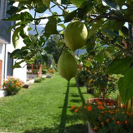 Appartement Il Giardino Dei Ciliegi à Colico Extérieur photo