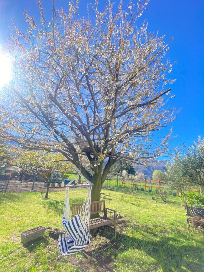 Appartement Il Giardino Dei Ciliegi à Colico Extérieur photo