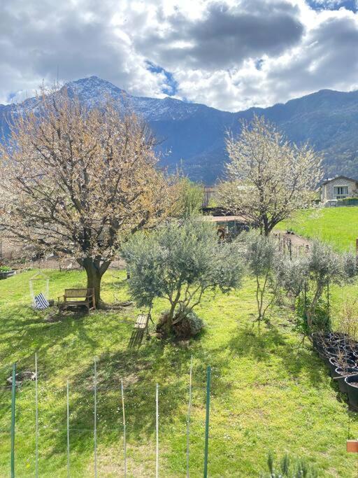 Appartement Il Giardino Dei Ciliegi à Colico Extérieur photo