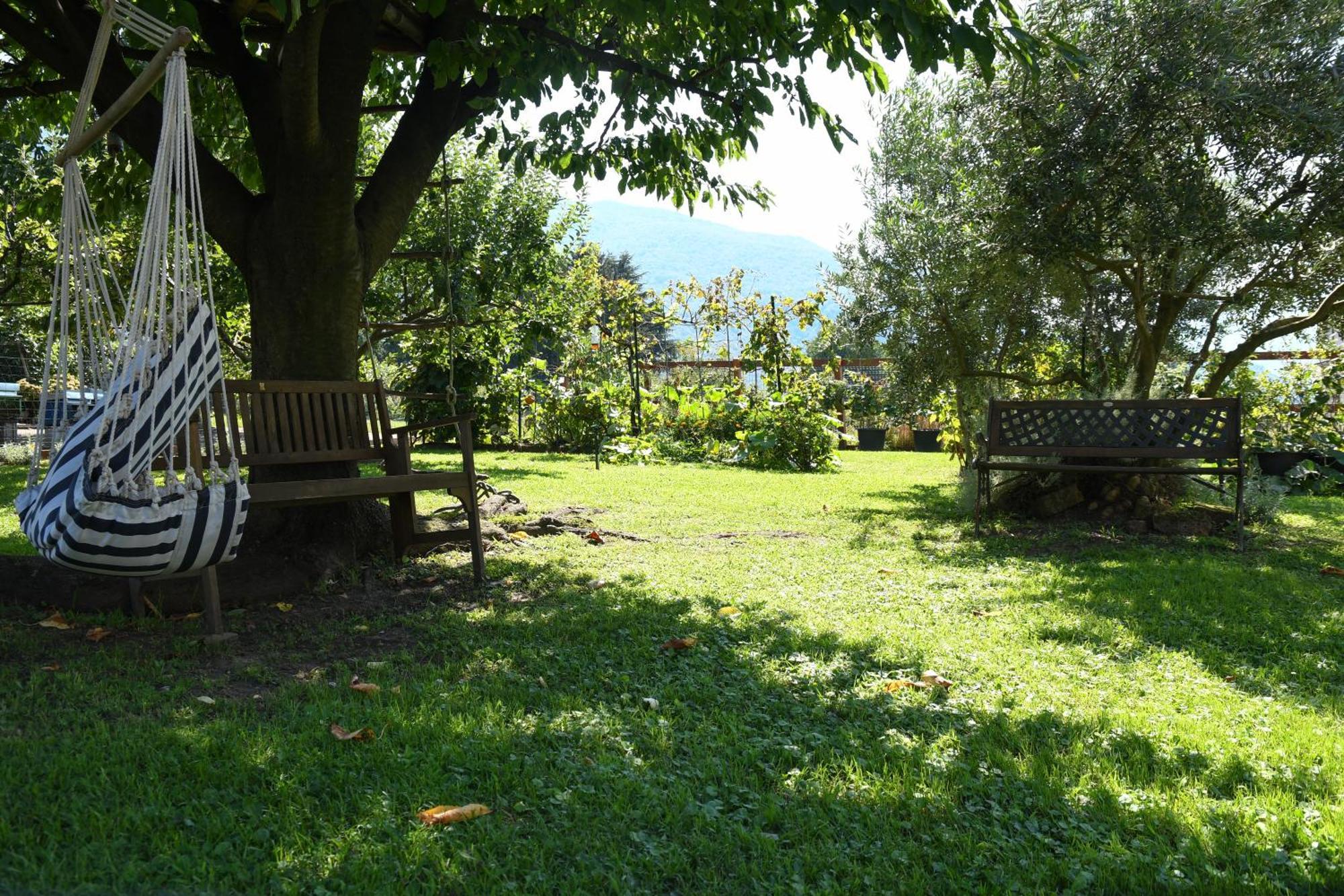 Appartement Il Giardino Dei Ciliegi à Colico Extérieur photo