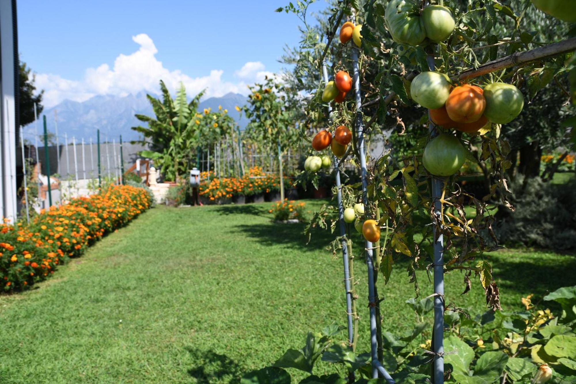Appartement Il Giardino Dei Ciliegi à Colico Extérieur photo