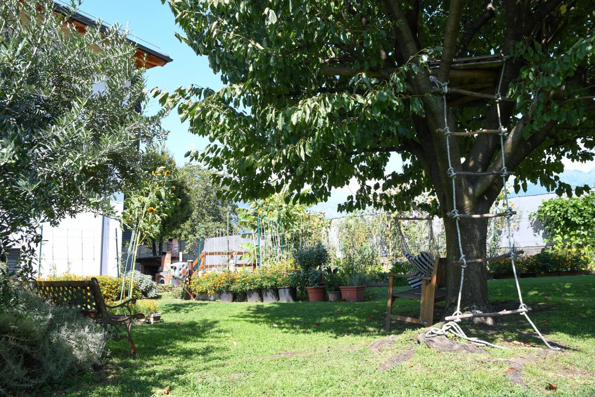Appartement Il Giardino Dei Ciliegi à Colico Extérieur photo