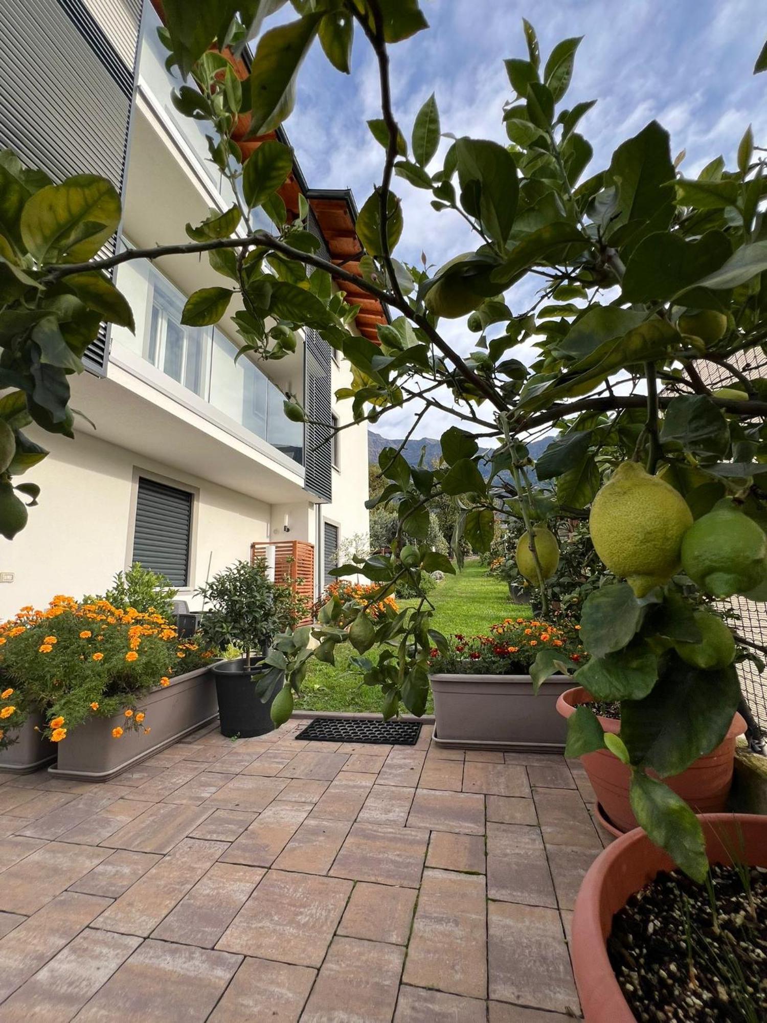 Appartement Il Giardino Dei Ciliegi à Colico Extérieur photo