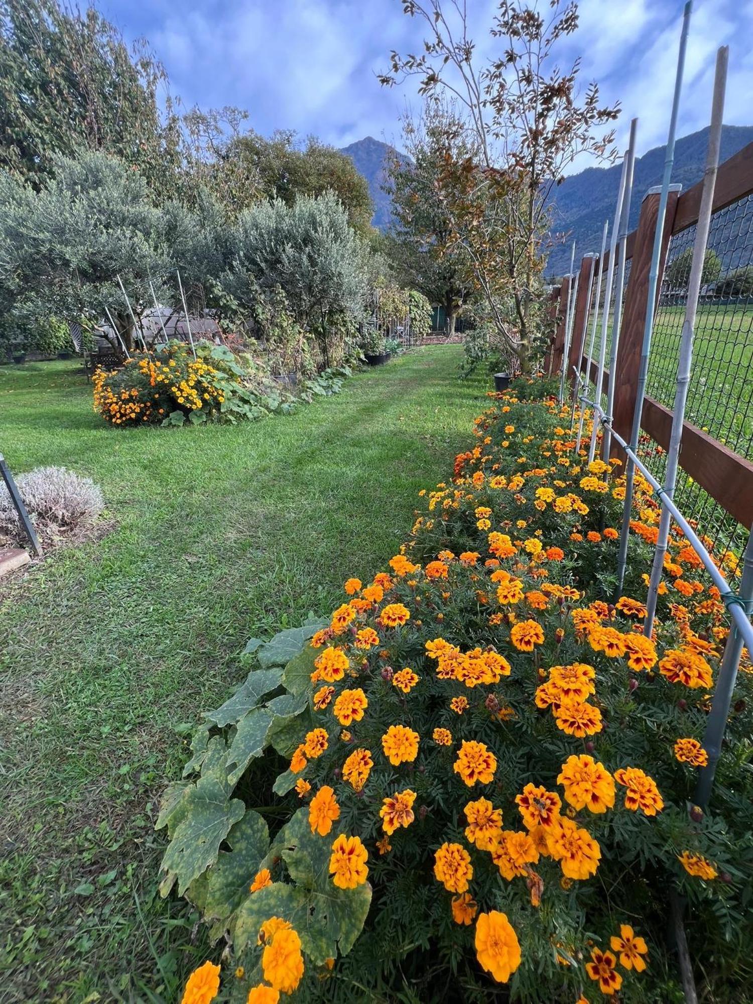 Appartement Il Giardino Dei Ciliegi à Colico Extérieur photo